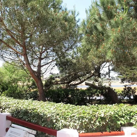 Holiday Nada *